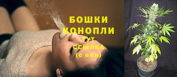 стаф Саяногорск
