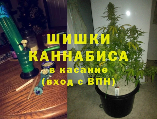 стаф Саяногорск