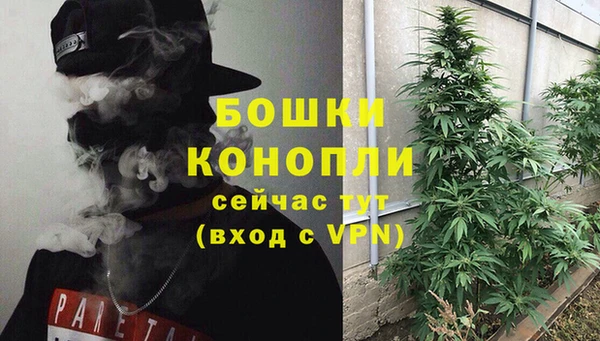 таблы Белокуриха