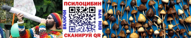 Псилоцибиновые грибы Psilocybe  Сысерть 